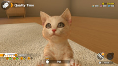 Little Friends: Dogs & Cats выйдет на Nintendo Switch этой весной